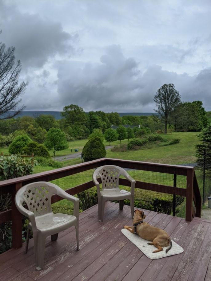 Fenced Yard Chalets From Good Dog Vacations At Big Valley Resort Sciota Exteriör bild